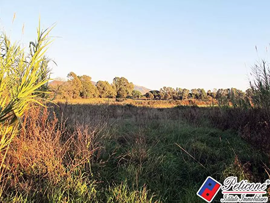 Immagine 2 di Terreno agricolo in vendita  in Via Strada Consortile a Fondi
