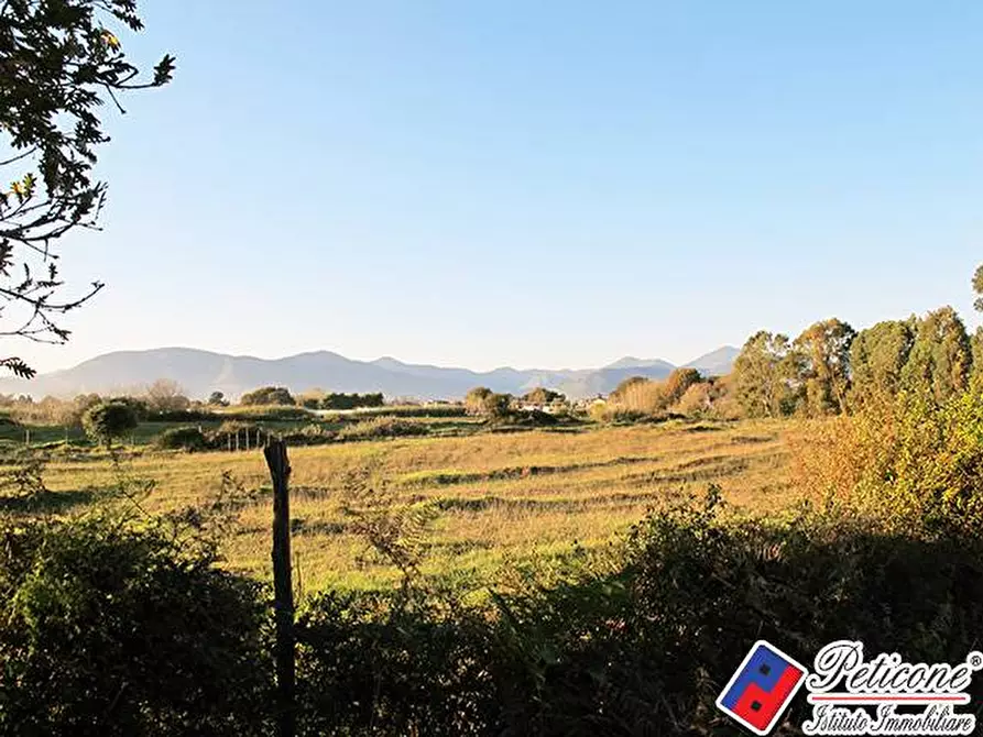 Immagine 3 di Terreno agricolo in vendita  in Via Strada Consortile a Fondi