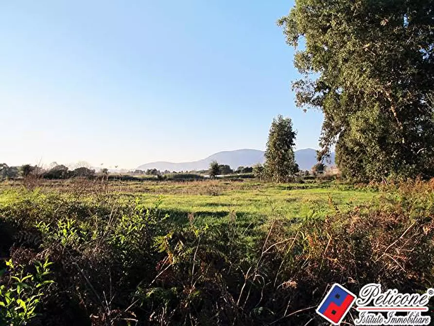 Immagine 4 di Terreno agricolo in vendita  in Via Strada Consortile a Fondi