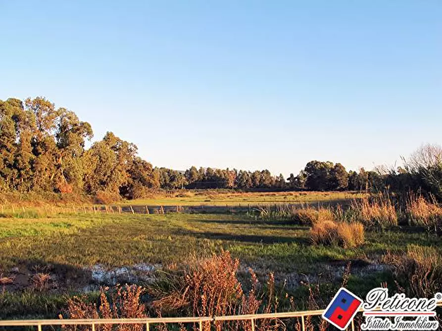 Immagine 7 di Terreno agricolo in vendita  in Via Strada Consortile a Fondi