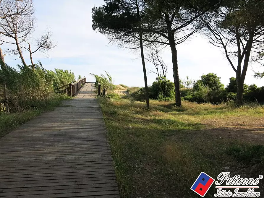 Immagine 14 di Terreno agricolo in vendita  in Via Strada Consortile a Fondi