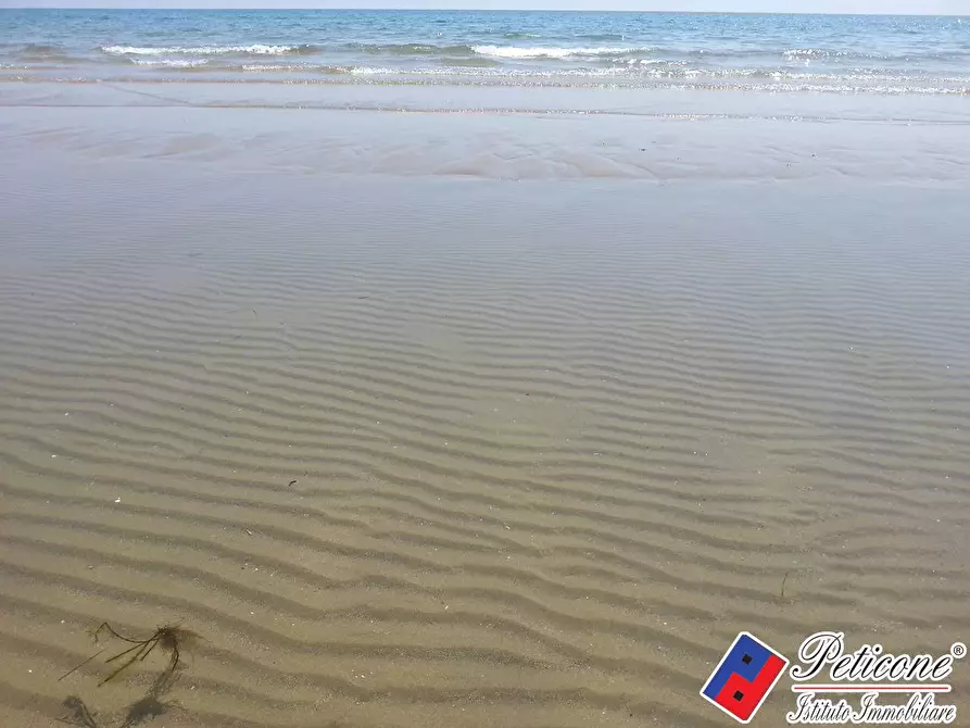 Immagine 10 di Terreno agricolo in vendita  in Via Strada Consortile a Fondi