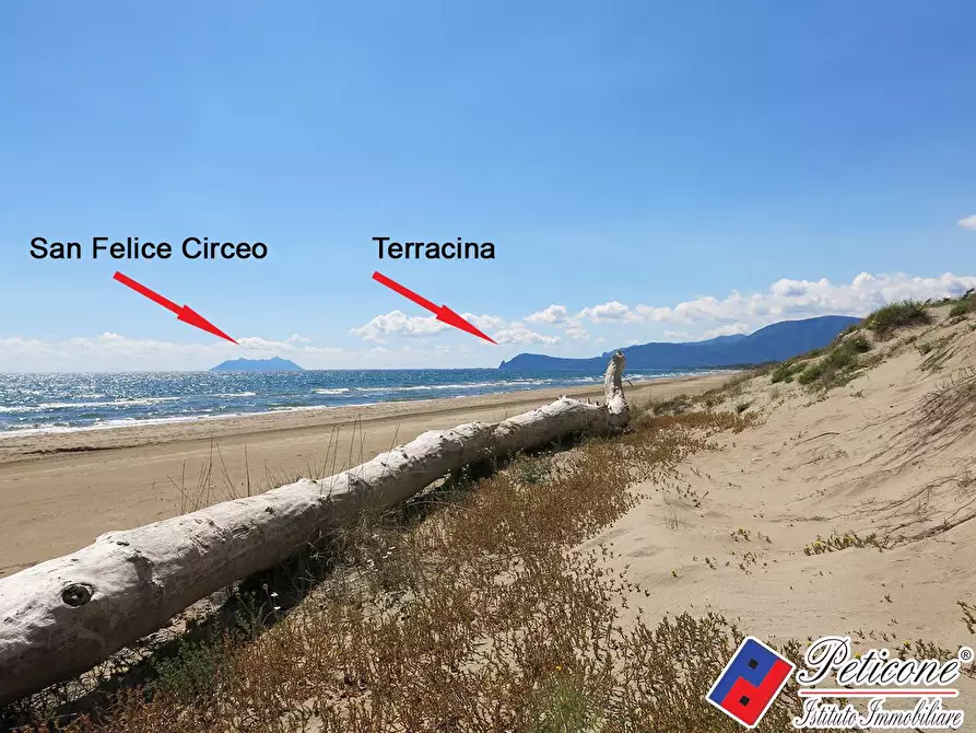 Immagine 18 di Terreno agricolo in vendita  in Via Strada Consortile a Fondi