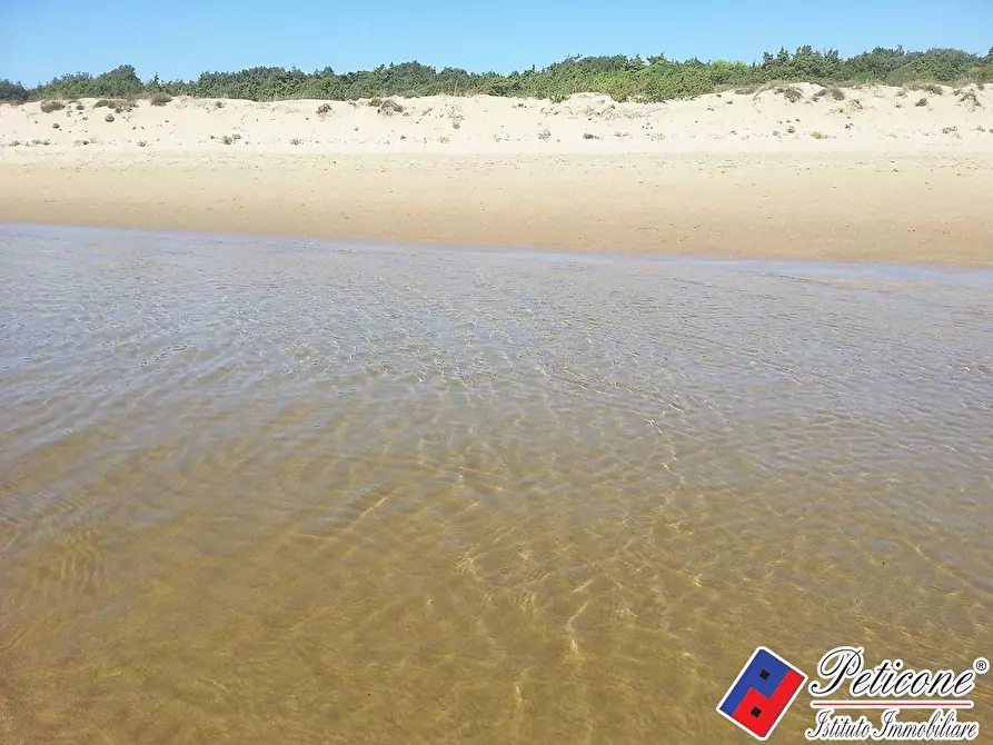 Immagine 11 di Terreno agricolo in vendita  in Via Guado a Fondi