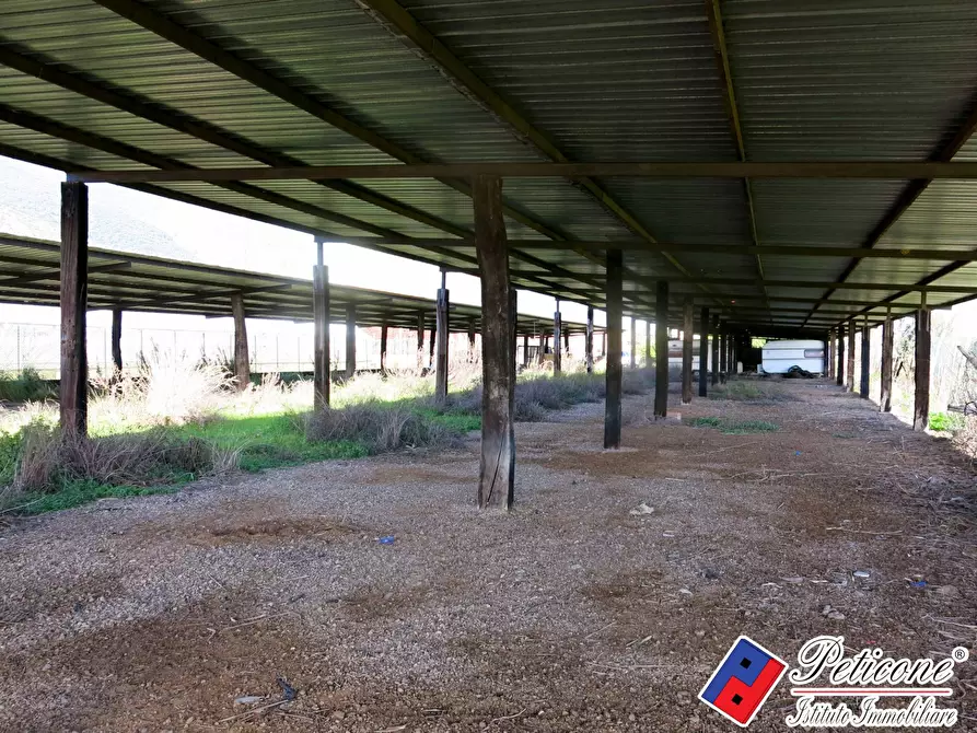 Immagine 3 di Terreno agricolo in vendita  in Via Orione a Monte San Biagio