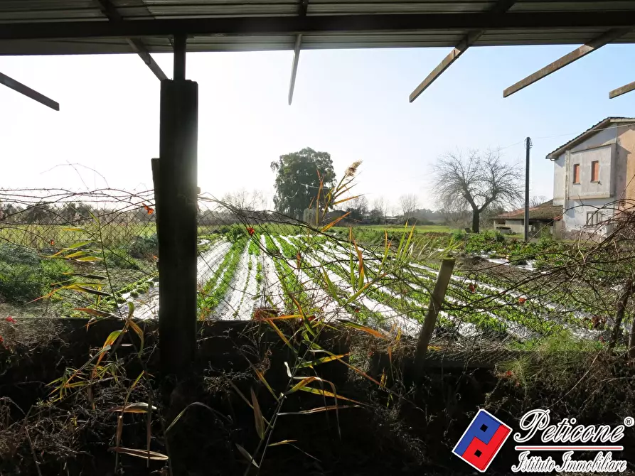 Immagine 4 di Terreno agricolo in vendita  in Via Orione a Monte San Biagio