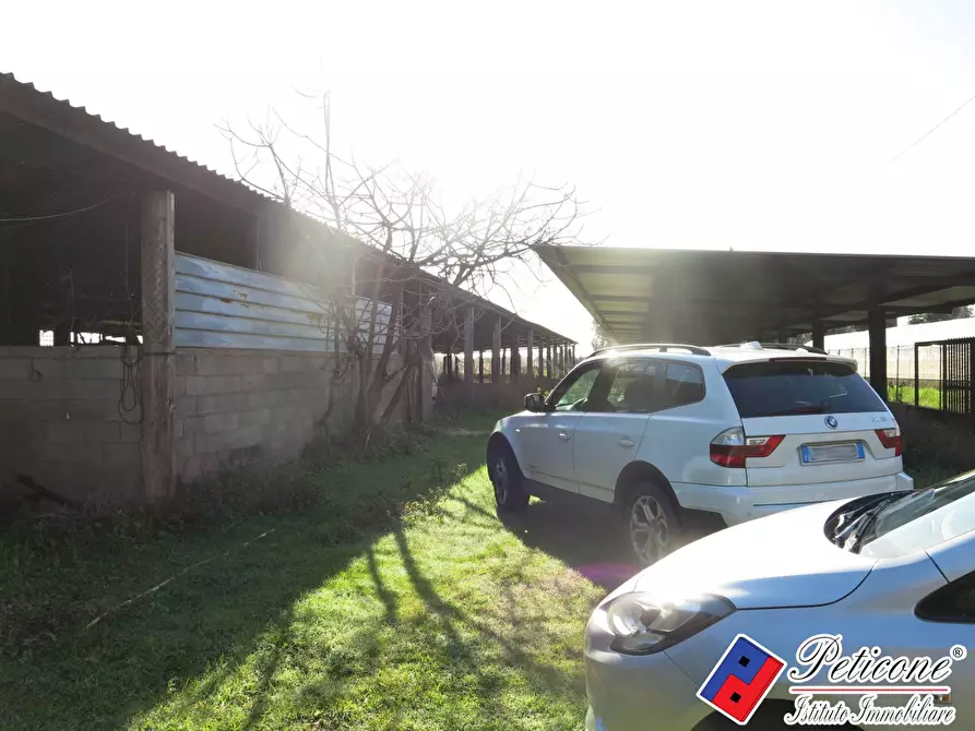 Immagine 10 di Terreno agricolo in vendita  in Via Orione a Monte San Biagio