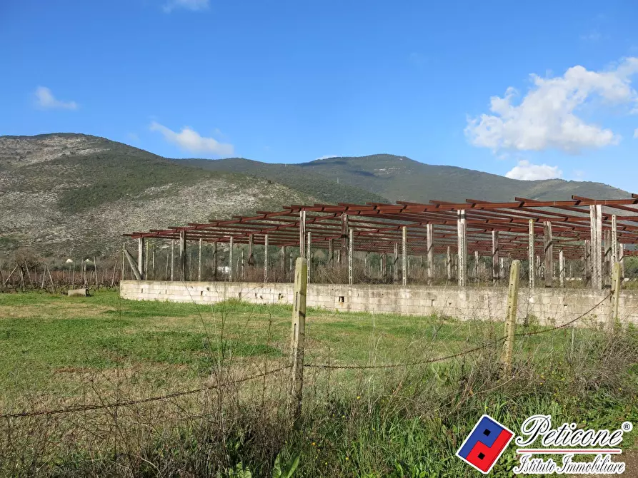 Immagine 9 di Terreno agricolo in vendita  in Via Orione a Monte San Biagio