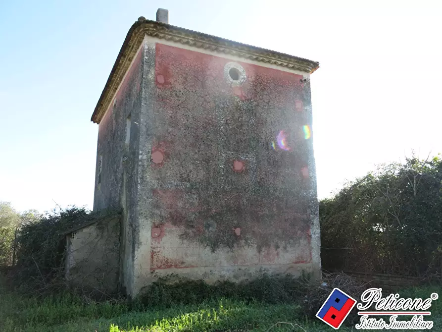 Immagine 5 di Terreno agricolo in vendita  in Via Orione a Monte San Biagio