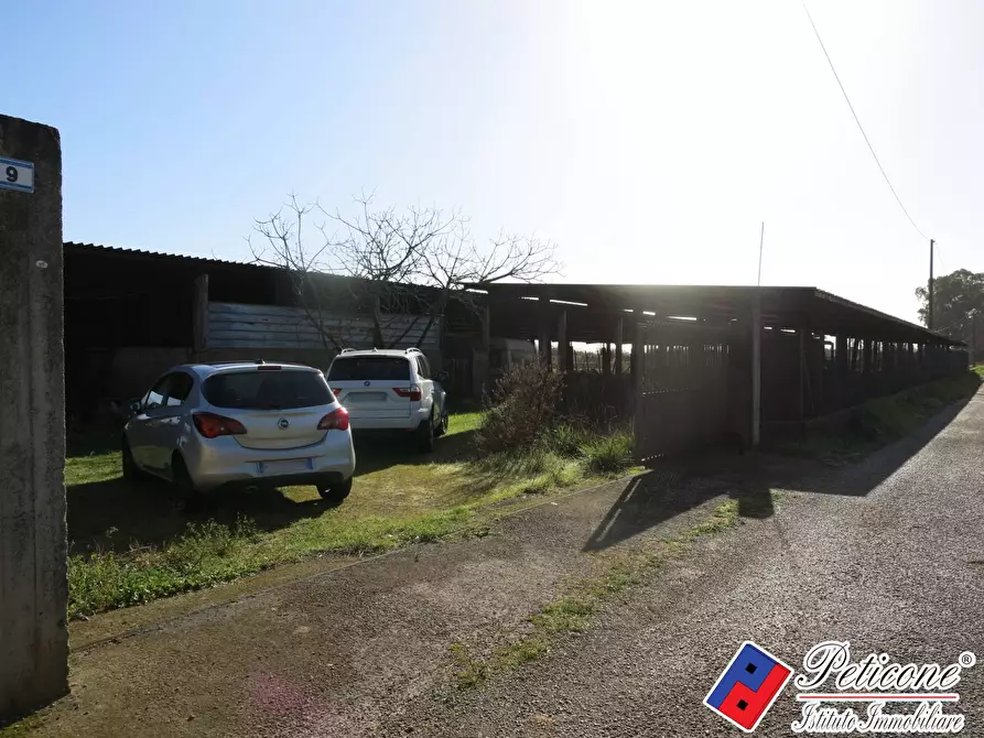 Immagine 8 di Terreno agricolo in vendita  in Via Orione a Monte San Biagio