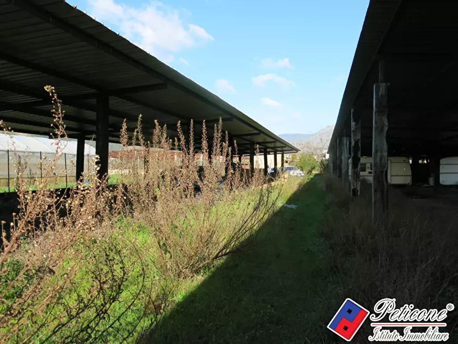 Immagine 7 di Terreno agricolo in vendita  in Via Orione a Monte San Biagio