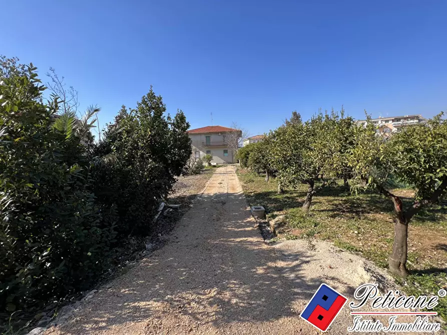 Immagine 8 di Appartamento in vendita  in Via Toscana a Fondi