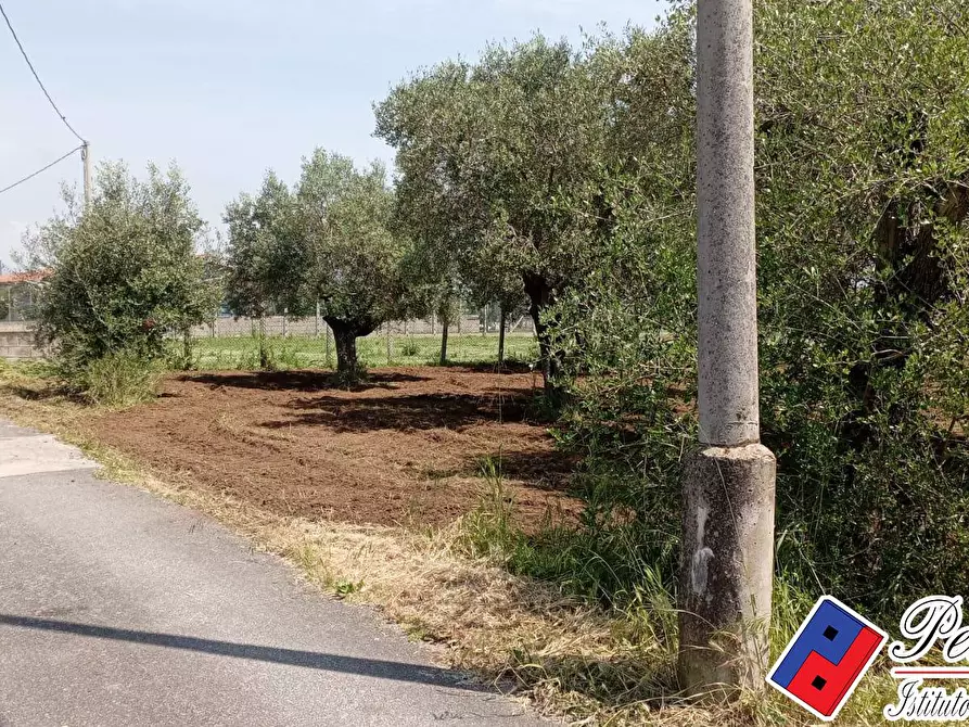 Immagine 5 di Terreno agricolo in vendita  in Via s.Anastasia a Fondi