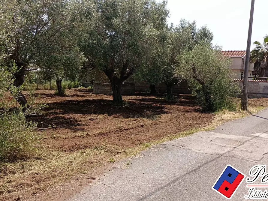 Immagine 4 di Terreno agricolo in vendita  in Via s.Anastasia a Fondi