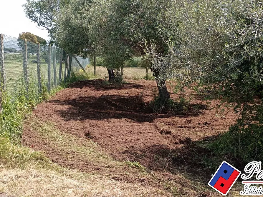 Immagine 3 di Terreno agricolo in vendita  in Via s.Anastasia a Fondi