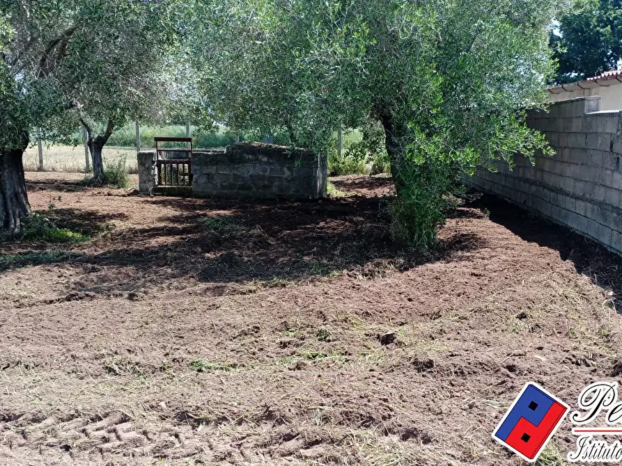 Immagine 6 di Terreno agricolo in vendita  in Via s.Anastasia a Fondi