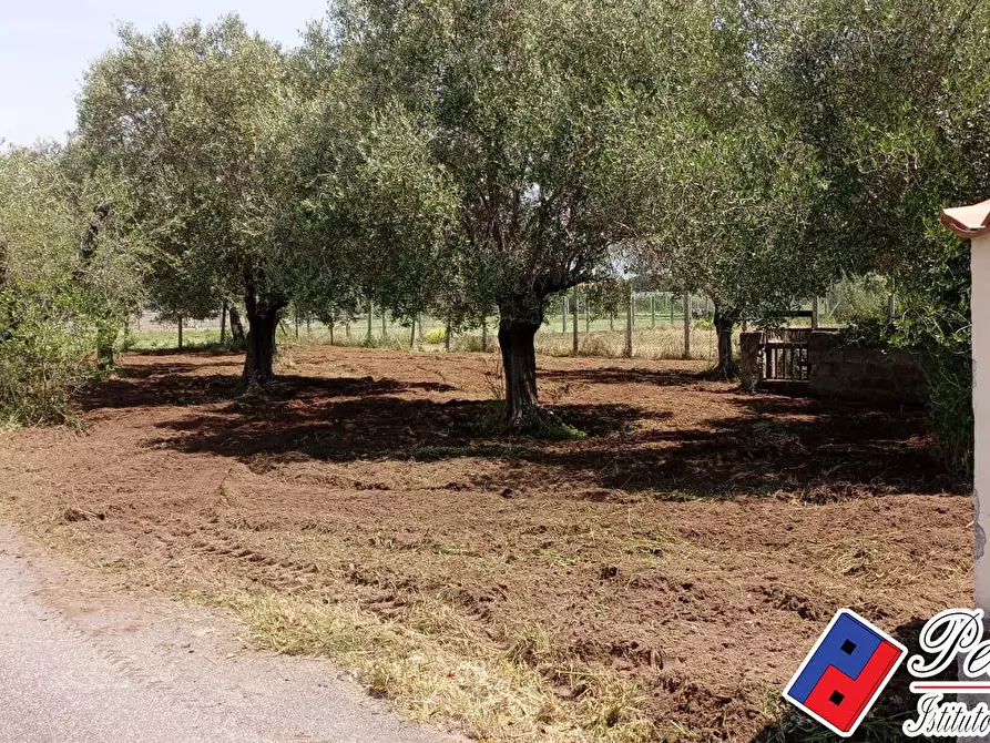 Immagine 7 di Terreno agricolo in vendita  in Via s.Anastasia a Fondi