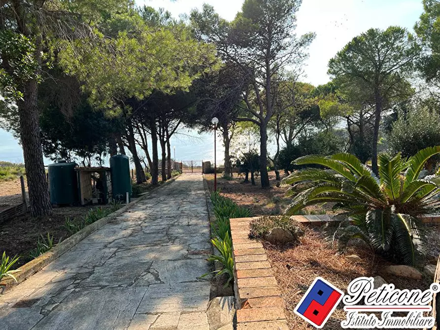 Immagine 24 di Villa in vendita  in Località consorzio tiberio a Sperlonga