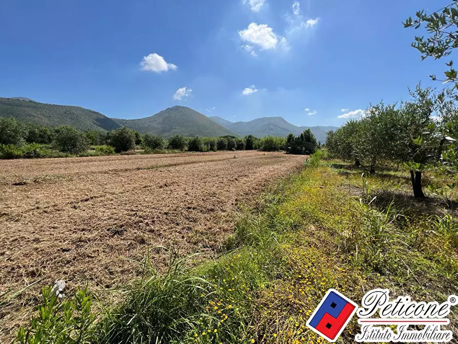 Immagine 7 di Casa indipendente in vendita  in Via dei Serpenti a Fondi