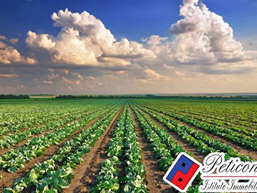 Immagine 2 di Terreno agricolo in vendita  in Via Sant'Anastasia a Fondi