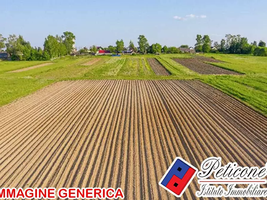 Immagine 1 di Terreno agricolo in vendita  in Via Sant'Anastasia a Fondi