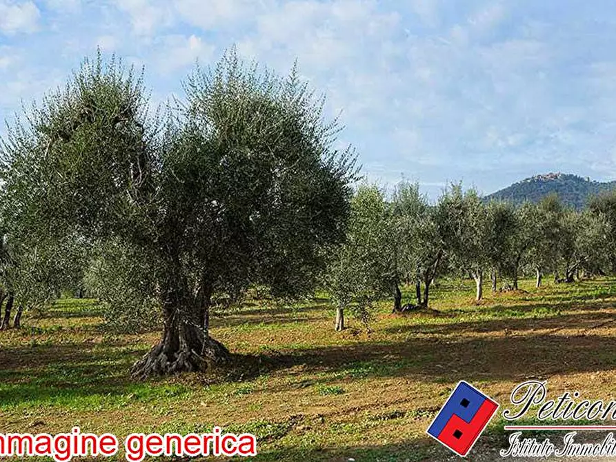 Immagine 1 di Terreno agricolo in vendita  in VIA CESULO a Fondi