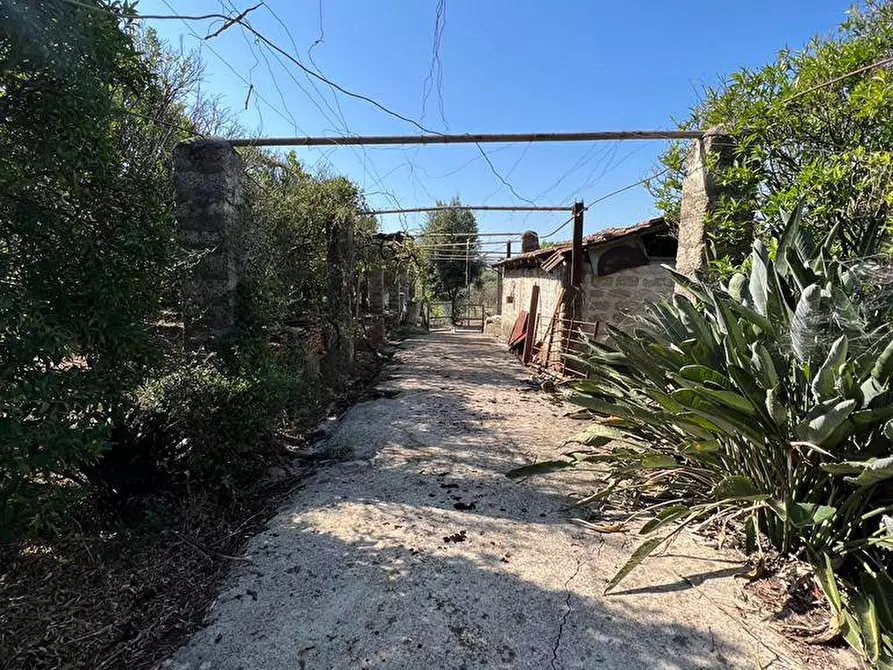 Immagine 2 di Terreno agricolo in vendita  in Via Gegni a Fondi
