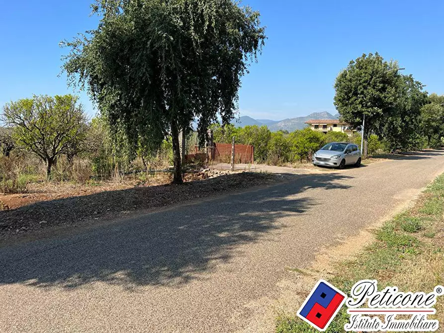 Immagine 3 di Terreno agricolo in vendita  in Via Gegni a Fondi