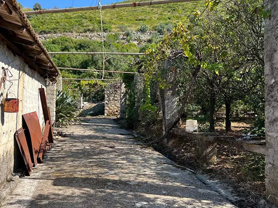 Immagine 9 di Terreno agricolo in vendita  in Via Gegni a Fondi