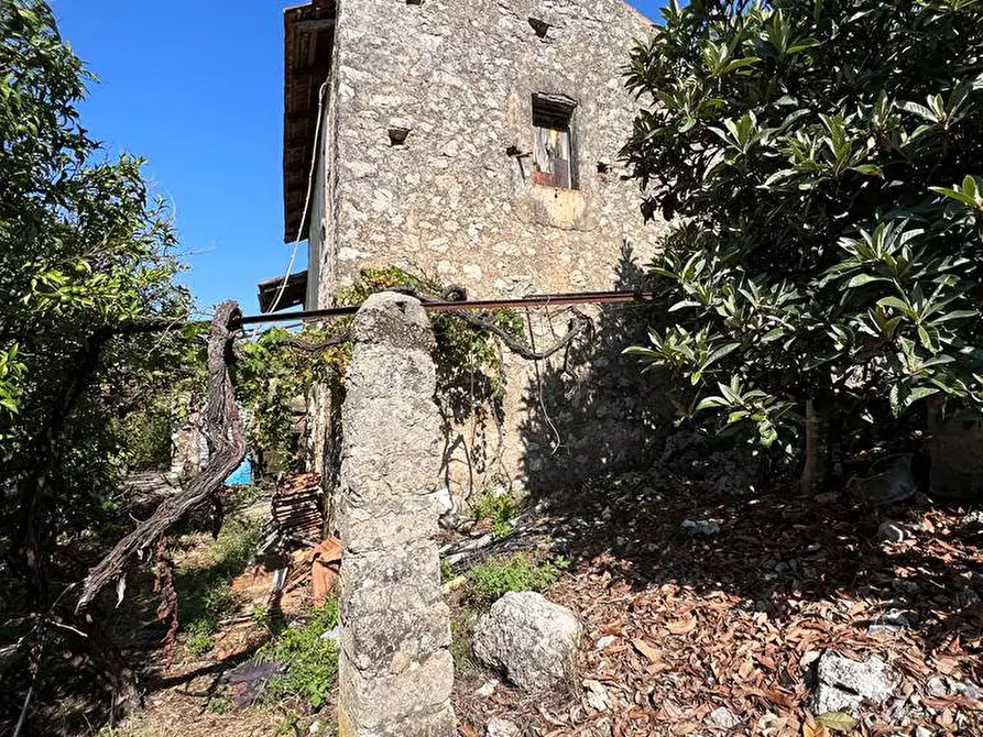 Immagine 7 di Terreno agricolo in vendita  in Via Gegni a Fondi