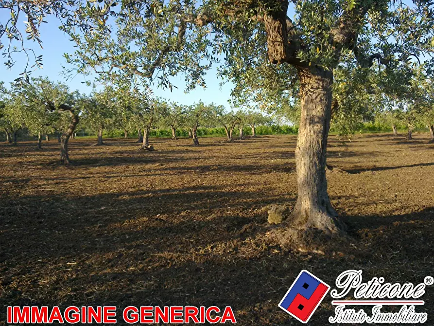 Immagine 2 di Terreno agricolo in vendita  in VALLE BERNARDO a Lenola