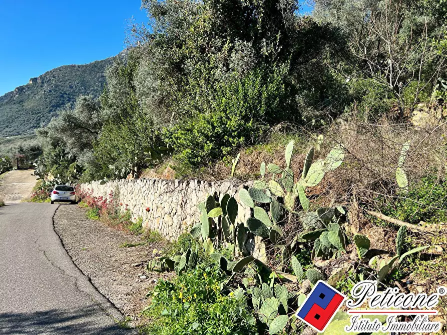 Immagine 4 di Terreno residenziale in vendita  in Via Valle Vigna a Fondi