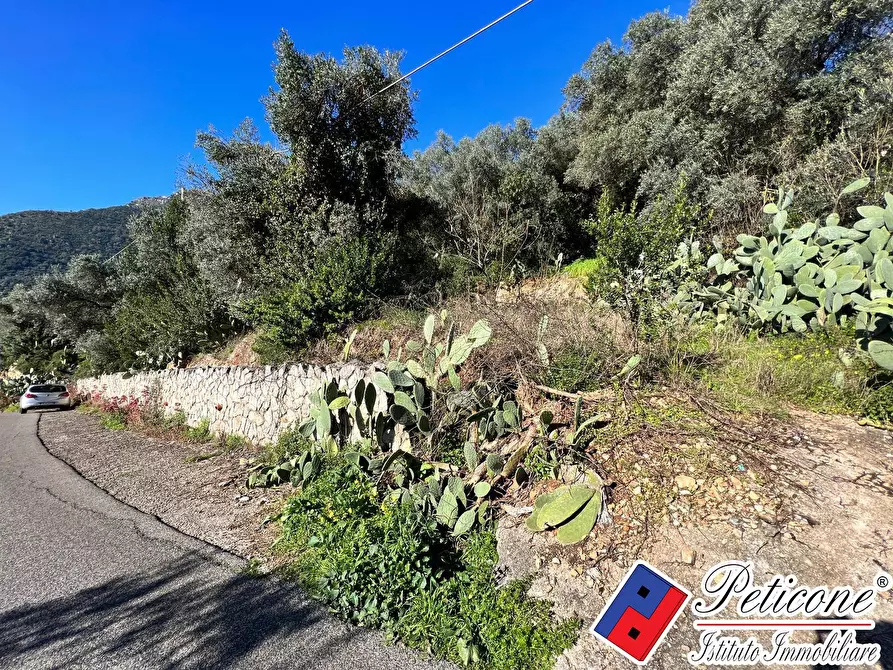 Immagine 2 di Terreno residenziale in vendita  in Via Valle Vigna a Fondi