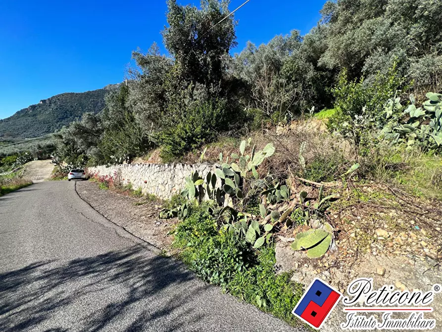 Immagine 6 di Terreno residenziale in vendita  in Via Valle Vigna a Fondi