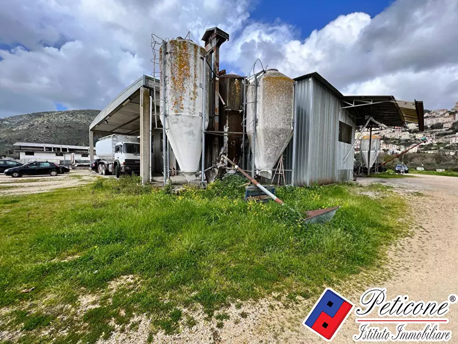 Immagine 8 di Locale commerciale in vendita  in Via Appia Monte San Biagio a Monte San Biagio