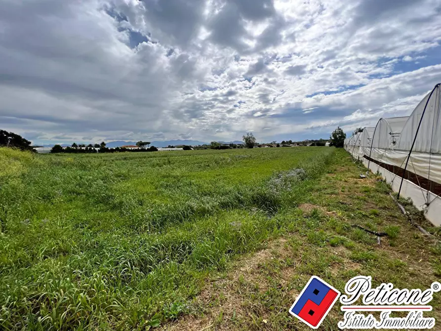 Immagine 2 di Terreno agricolo in vendita  in BARCHI a Terracina