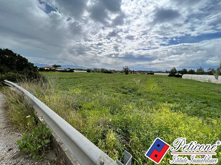 Immagine 3 di Terreno agricolo in vendita  in BARCHI a Terracina