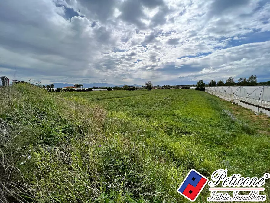 Immagine 4 di Terreno agricolo in vendita  in BARCHI a Terracina