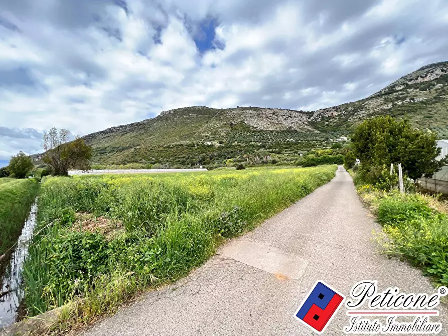Immagine 6 di Terreno agricolo in vendita  in BARCHI a Terracina