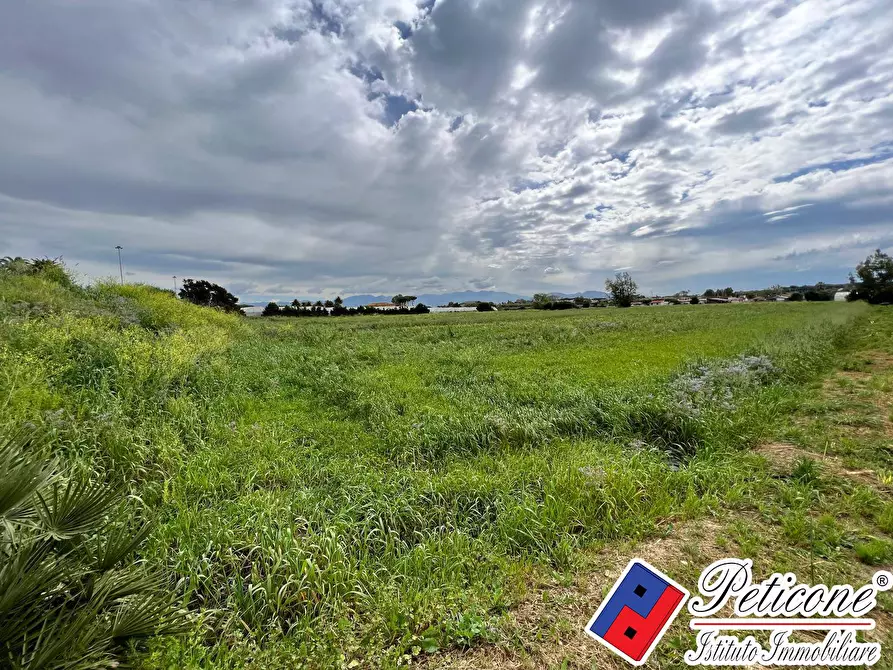 Immagine 5 di Terreno agricolo in vendita  in BARCHI a Terracina