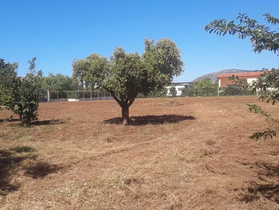 Immagine 1 di Terreno agricolo in vendita  in Via Covino a Fondi