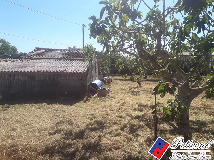 Immagine 1 di Terreno agricolo in vendita  in Via Covino a Fondi