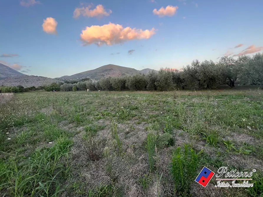 Immagine 1 di Terreno agricolo in vendita  in Via Vicinale Ovello a Fondi