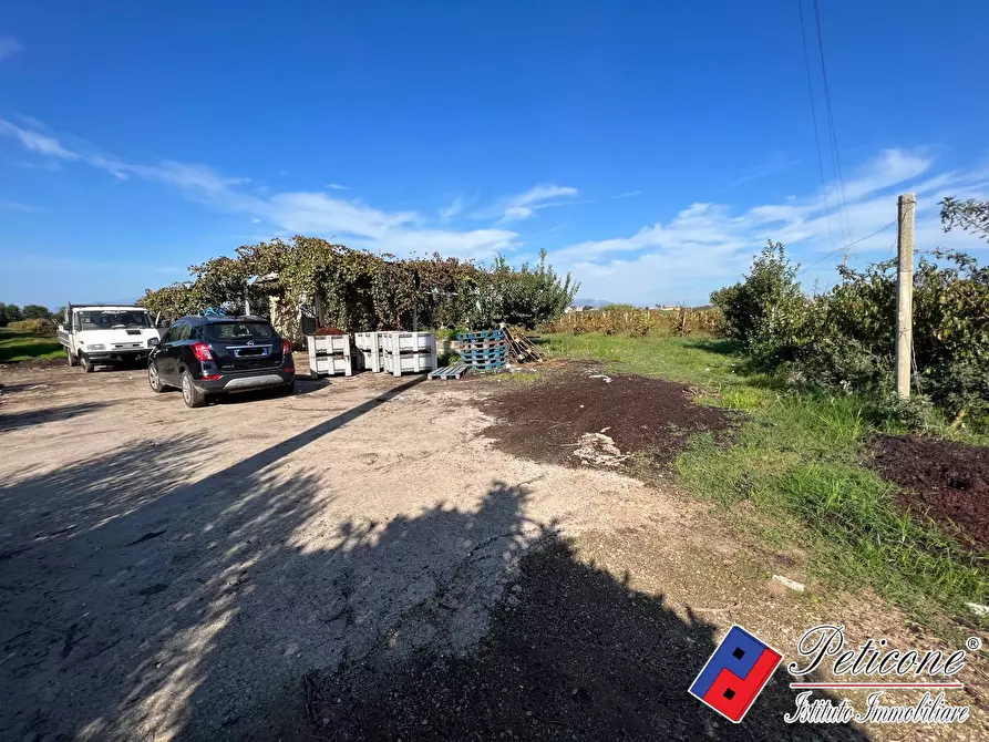 Immagine 4 di Terreno agricolo in vendita  a Cellole