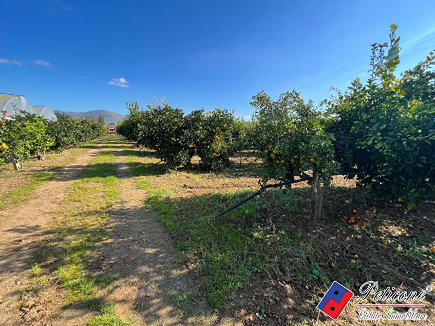 Immagine 1 di Terreno agricolo in vendita  in Via Fontanelle S. Marco a Fondi