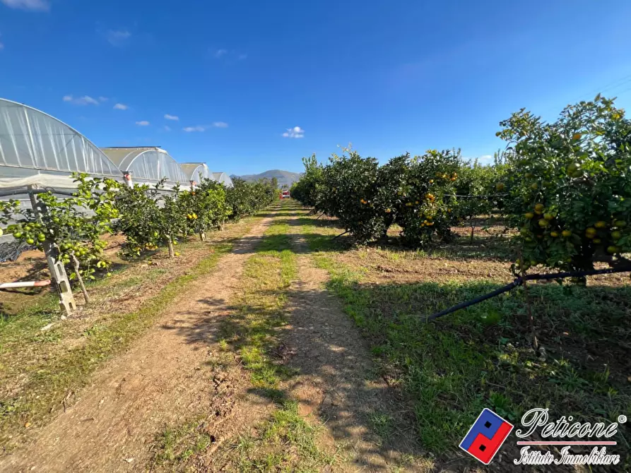 Immagine 2 di Terreno agricolo in vendita  in Via Fontanelle S. Marco a Fondi