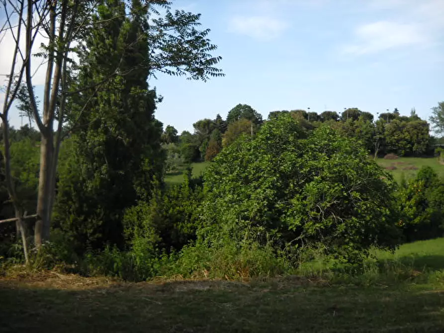 Immagine 30 di Villa in vendita  in Strada Panoramica Ardizio a Fano
