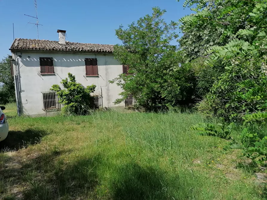 Immagine 3 di Rustico / casale in vendita  in Fossombrone a Fossombrone