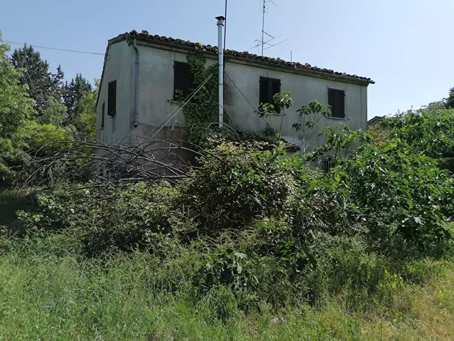 Immagine 6 di Rustico / casale in vendita  in Fossombrone a Fossombrone