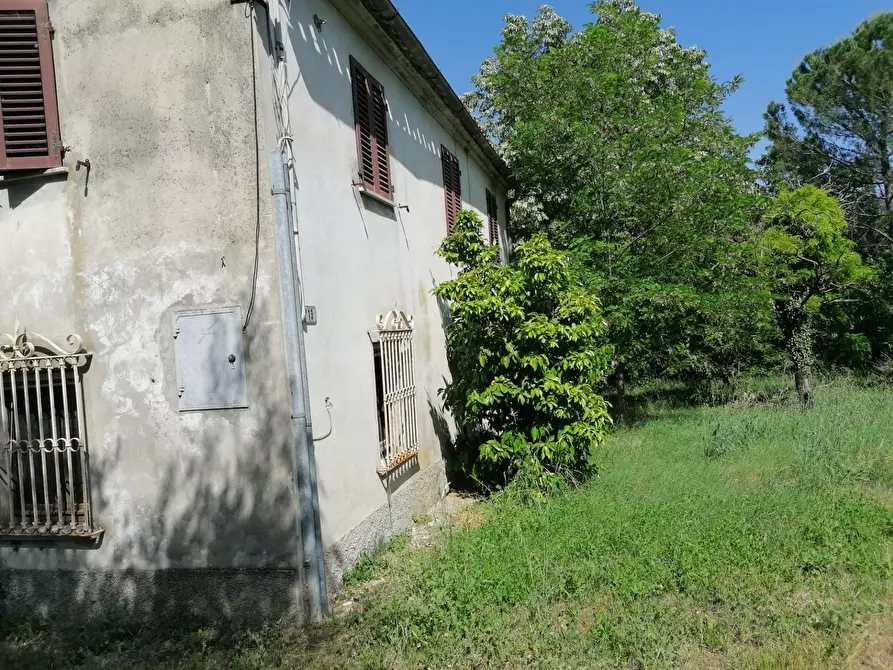 Immagine 19 di Rustico / casale in vendita  in Fossombrone a Fossombrone